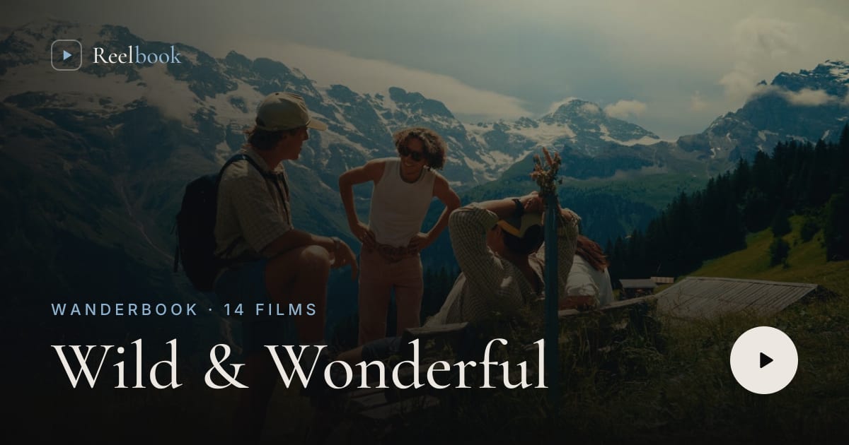 Reelbook link preview